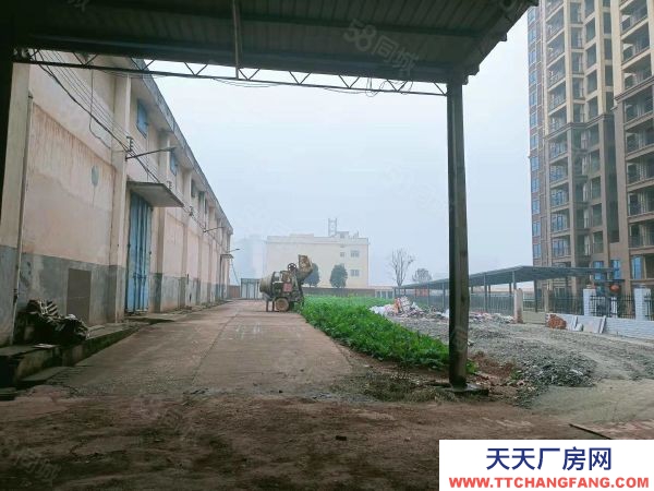 衡阳市衡阳县 西渡中型厂房，可租可售，价格美丽，方便实用，位置好，配套齐全