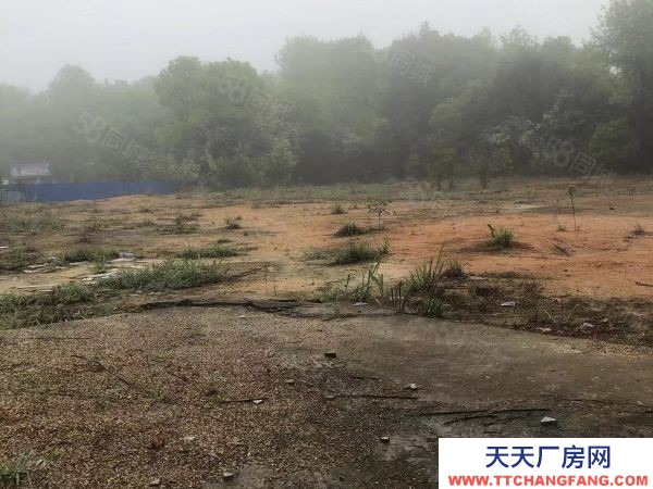 衡阳市衡南县工业园区50亩厂房，毛地出租转让，证照齐全