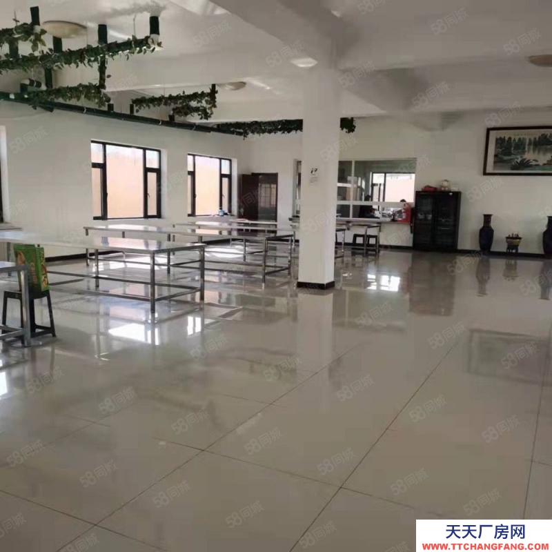 (出租) 大连金州标准厂房出租，格局好，宽敞明亮可做多种经营，可分租