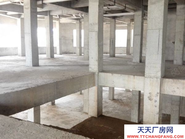 邵阳市双清区 建材城二期市场主干道上4268平方全框架仓库厂房出租