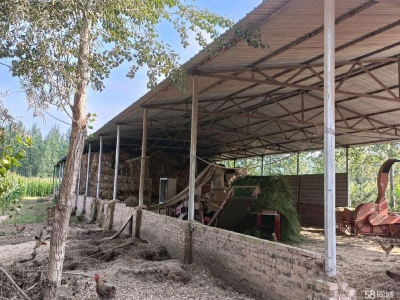 (出租) 养殖场在榆社县和平村。养殖业优选，方便养殖牛羊图3