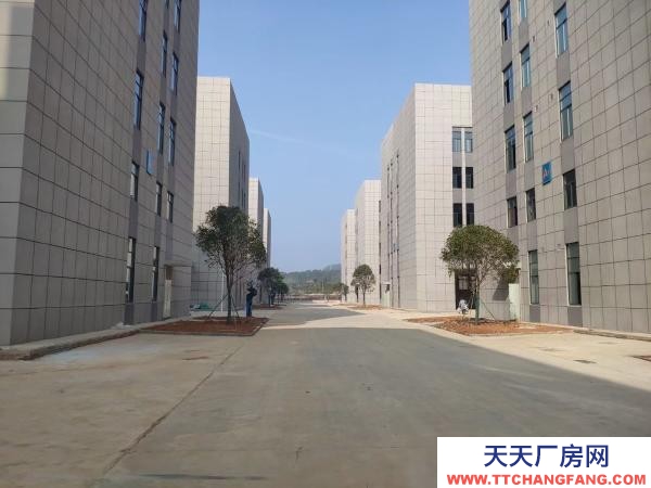 岳阳市岳华容区 可租可售｜华容县政府建设的四层标准化厂房