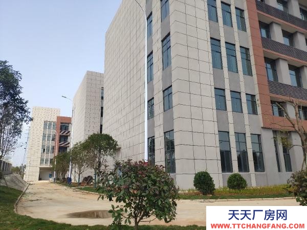 岳阳市岳华容区 华容高新区新建标准厂房出售（可租可售）