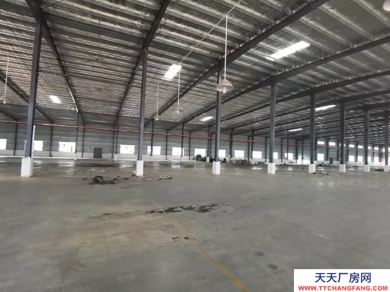 (出租) 原房东出租！江门台山新建独院钢构厂房出租25000平可分租