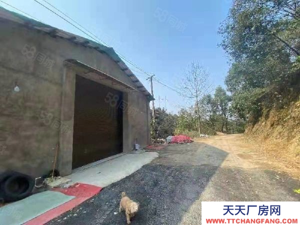 郴州市苏仙区 潘家湾附近房东自建标准厂房仓库优价出租可分租