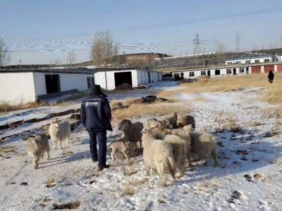 (出售) 鄂尔多斯占地14亩，建筑面积1500平米图1