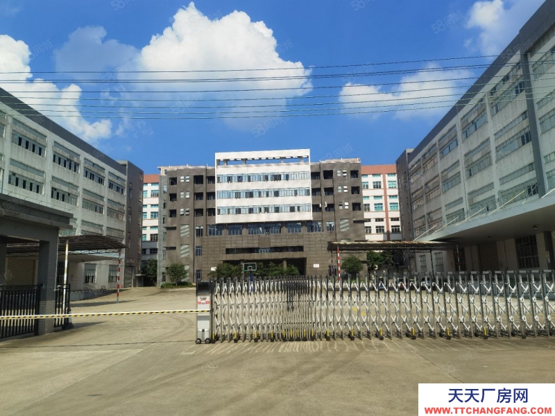 (出租) 广州花都机场边48600方高台仓可分租证件齐全丙二消防带喷淋可做物流