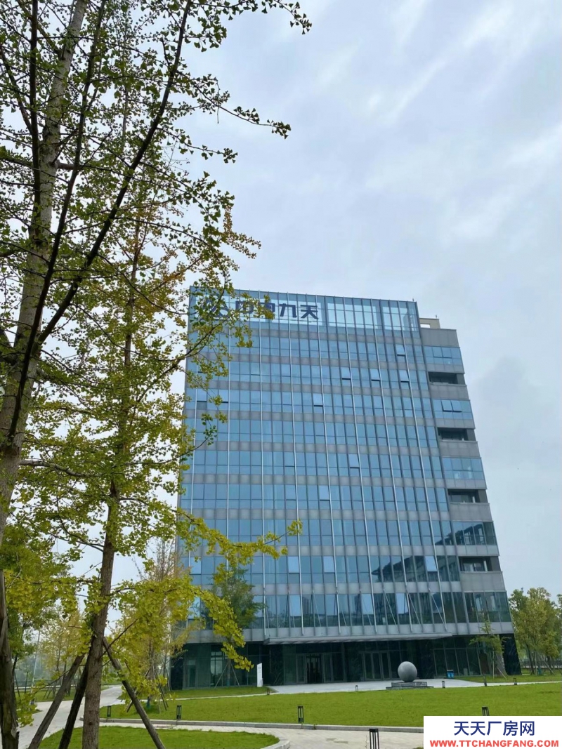 租售双流新城科技产业园，独栋平层，电子信息医疗入