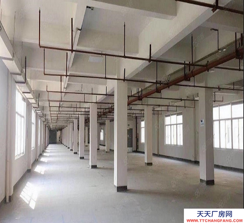 出售杭州全新独栋厂房，只售4000多，高速轻轨环绕，生活配套齐全